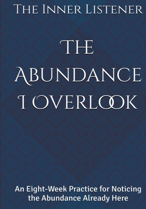 Front cover of The Abundance I Overlook